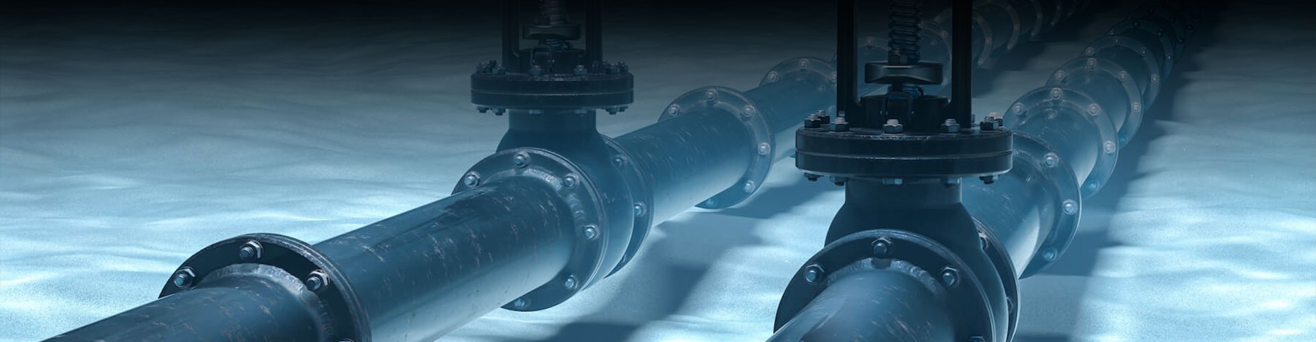 Check Valve