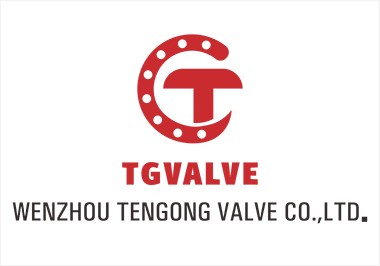 Stainless Steel Valve