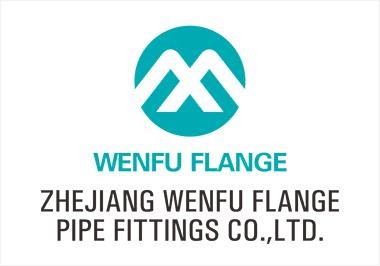Stainless Steel Flange  Stainless Steel  Non-Standard Flange